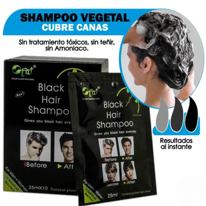 SHAMPOO CUBRE CANAS