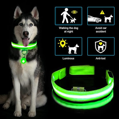 COLLAR LED PARA PERROS Y GATOS